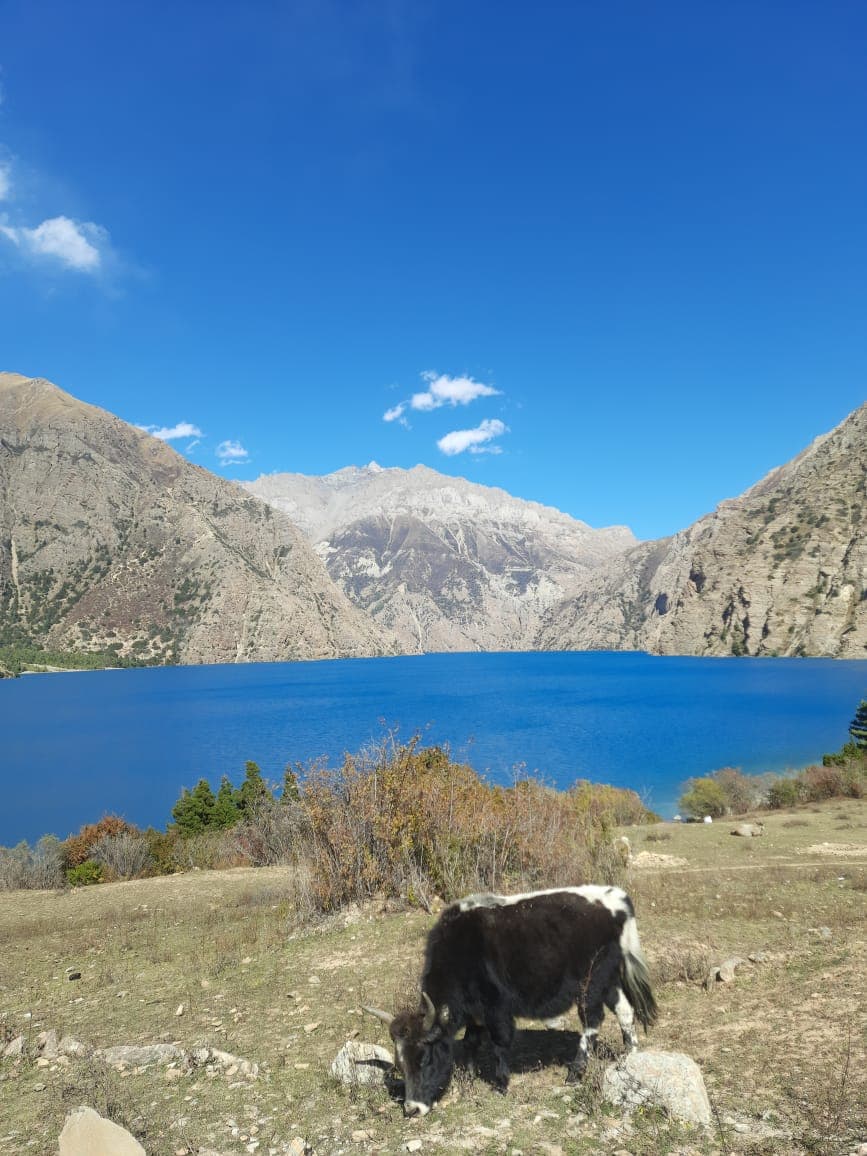 Shey Phoksundo Trek gallery 3