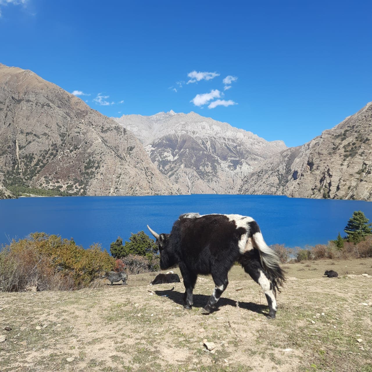 Lower Dolpo Trek gallery 5