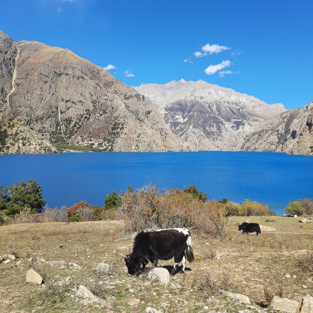 Lower Dolpo Trek gallery 4