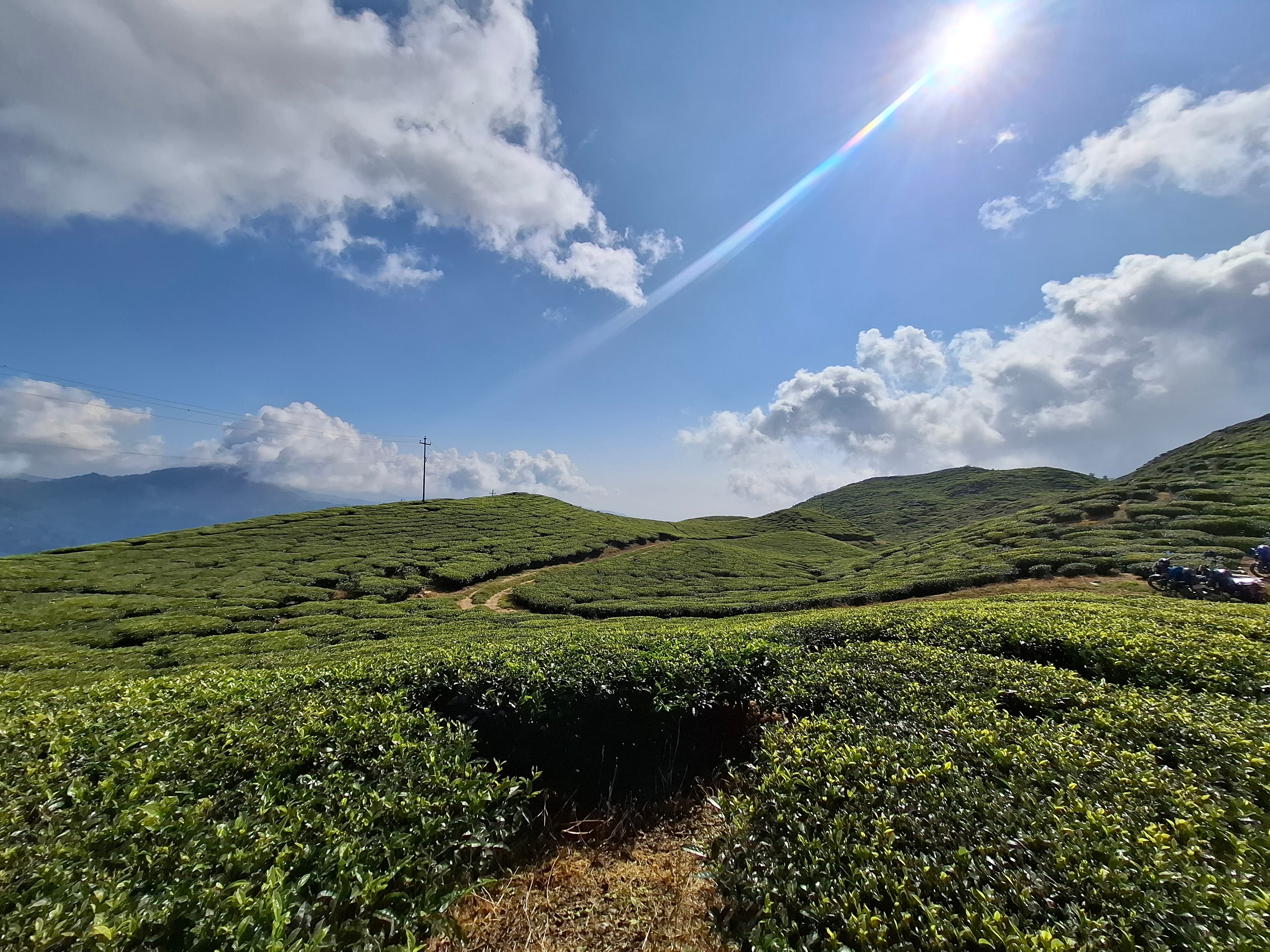 Green Panorama Tea Leaf Trail gallery 2